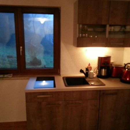 Ferienhaus Moosbachtal Thueringer Wald Bei Oberhof Rotterode 外观 照片