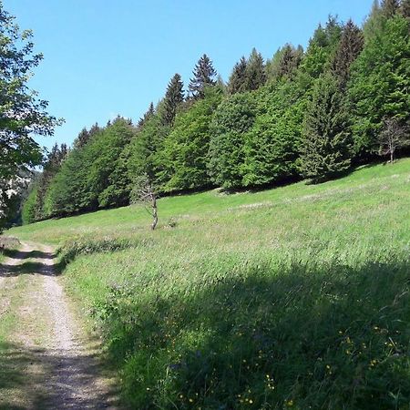 Ferienhaus Moosbachtal Thueringer Wald Bei Oberhof Rotterode 外观 照片