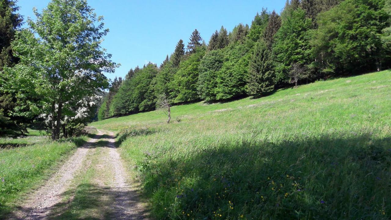 Ferienhaus Moosbachtal Thueringer Wald Bei Oberhof Rotterode 外观 照片